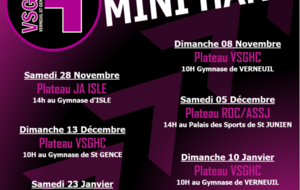 Planning Mini-Hand 1ère partie de Saison 20/21/2020